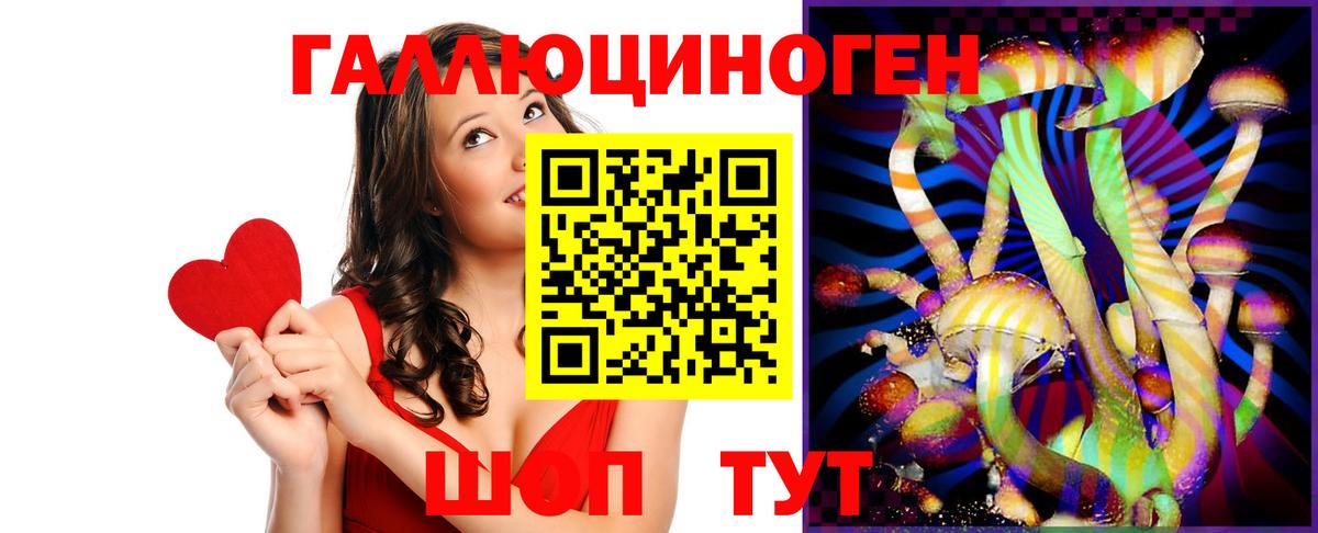 Псилоцибиновые грибы Cubensis Красноармейск