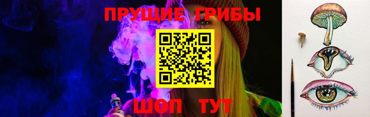Галлюциногенные грибы GOLDEN TEACHER  Галлюциногенные грибы Psilocybe  Красноармейск  купить наркотик  Вход с VPN 